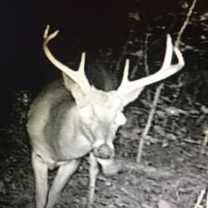 Meet your Posher, Nick